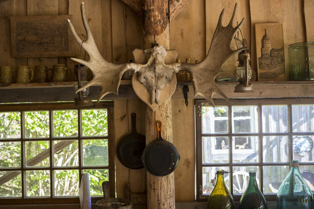 Deer skull decoration at an event at Kettukallio